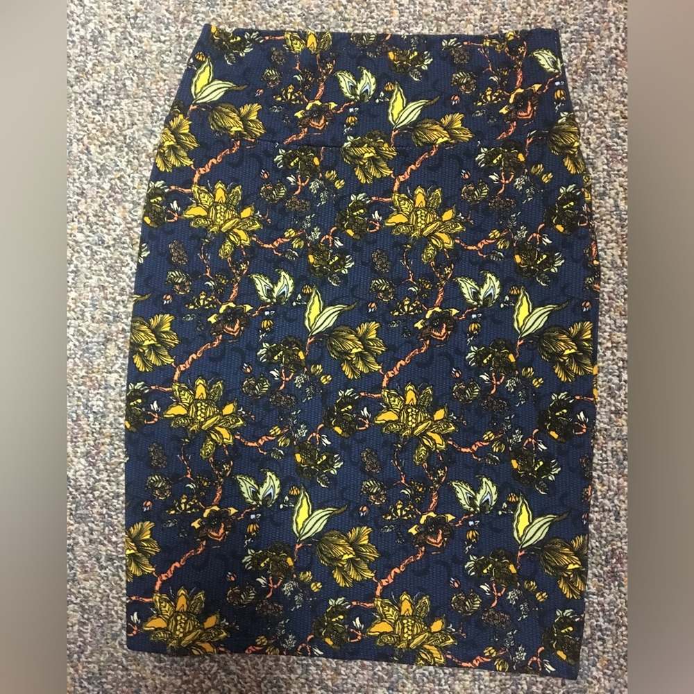 LulaRoe Cassie Skirt—Large